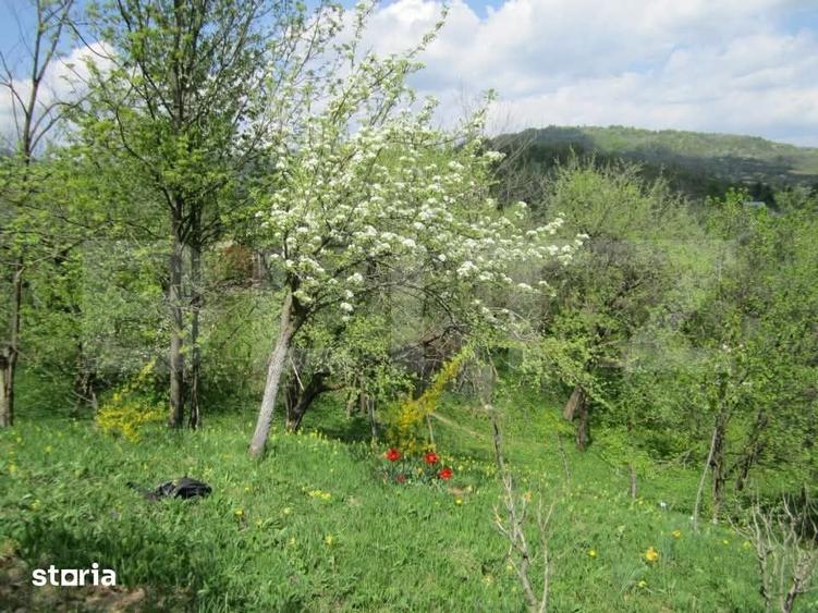 Teren de 884 mp, în Runcu
