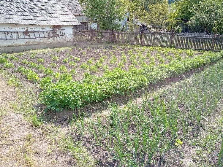 Casă cu 3 camere cu Teren 520 Mp în Solonț