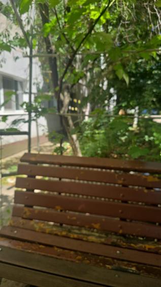Apartament cu 2 camere în Tineretului