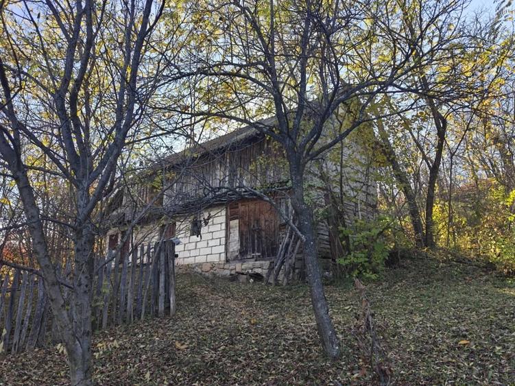 Teren de 5000 mp, în Pietroșița