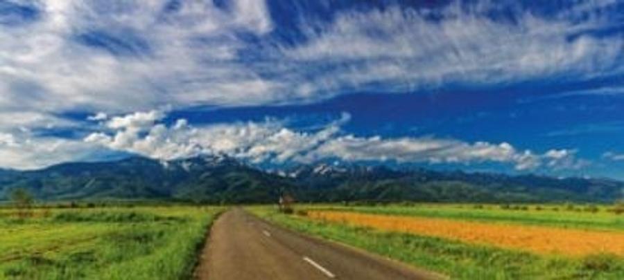 Teren de 1000 mp, în Sâmbăta de Sus