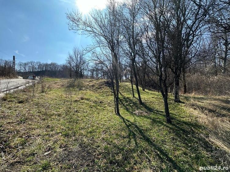 Teren de 828 mp, în Curăturile