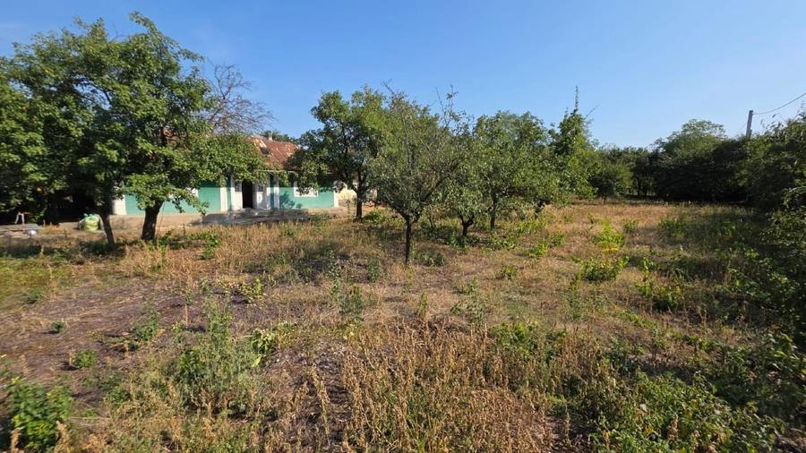 Casă individuală cu 2 camere cu Teren 1200 Mp în Perieni