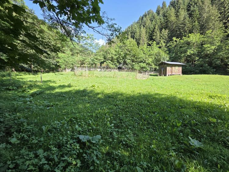 Teren de 3386 mp, în Borca
