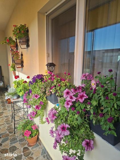 Apartament cu 4 camere în Micălaca