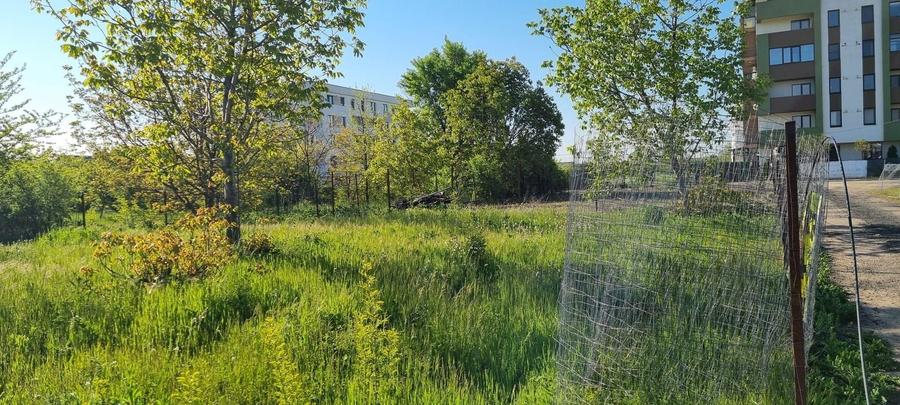 Teren Construcții intravilan de 10000 mp, în Prelungirea Ghencea