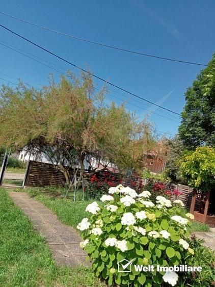 Teren Construcții intravilan de 2030 mp, în Aiton