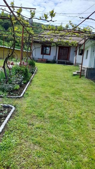 Casă cu 2 camere cu Teren 3 Mp în Onești