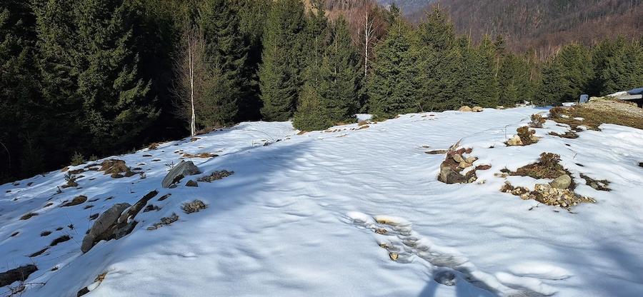 Teren de 300 mp, în Râu de Mori