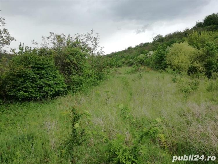 Teren de 4450 mp, în Budiului