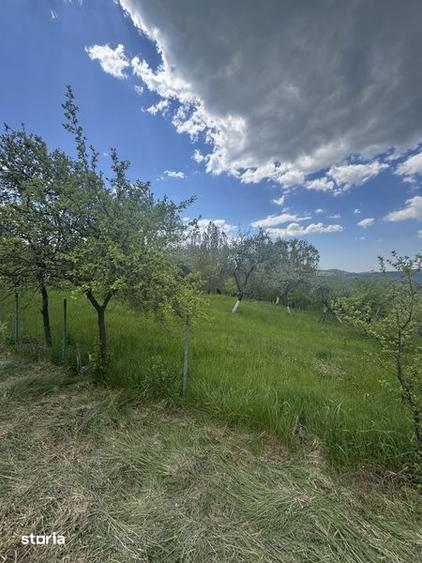 Casa si teren de vanzare, Cepari, Arges - 2