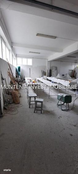 Spațiu comercial, de 672 mp, în Mărăcineni
