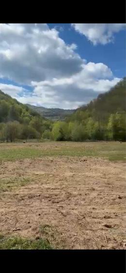 Teren de 1000 mp, în Vale