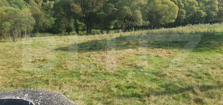 Teren Construcții intravilan de 1322 mp, în Vatra Dornei
