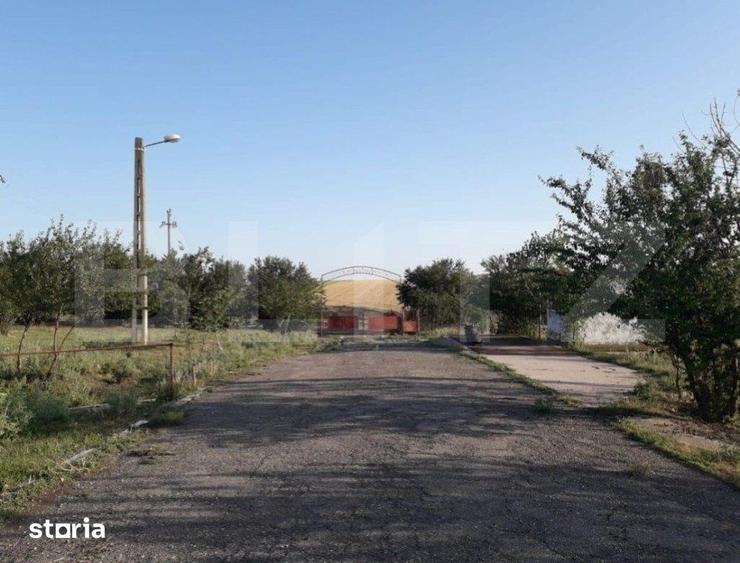 De vanzare teren-intravilan, ferma 9,5 ha, Tulcea-Sf. Gheorghe - 11