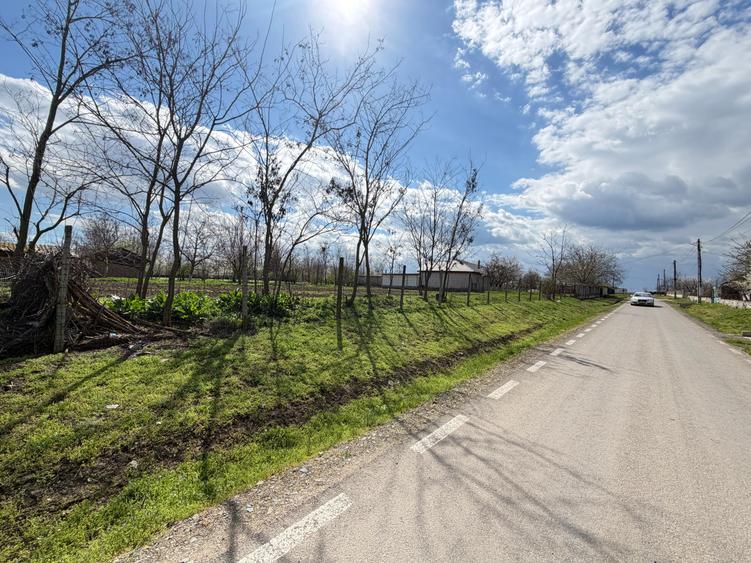 Teren Construcții intravilan de 1000 mp, în Mihai Viteazu