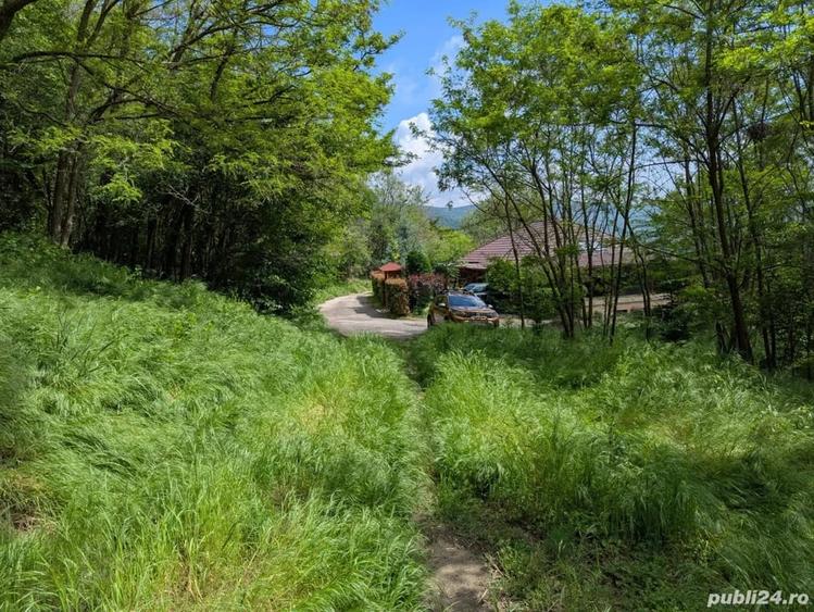 Teren de 3057 mp, în Bujoreni