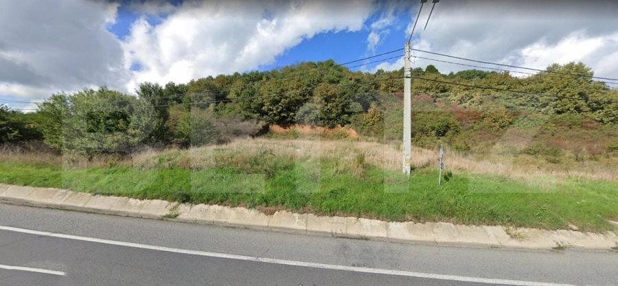 Teren Construcții intravilan de 800 mp, în Viișoara