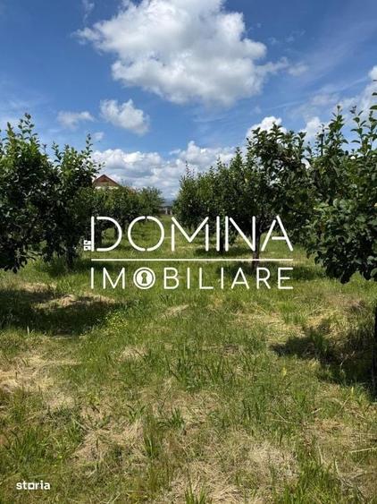 Spațiu comercial, în Preajba Mare