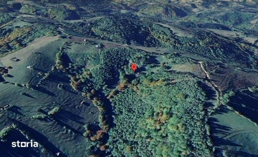 Teren de 13434 mp, în Bran