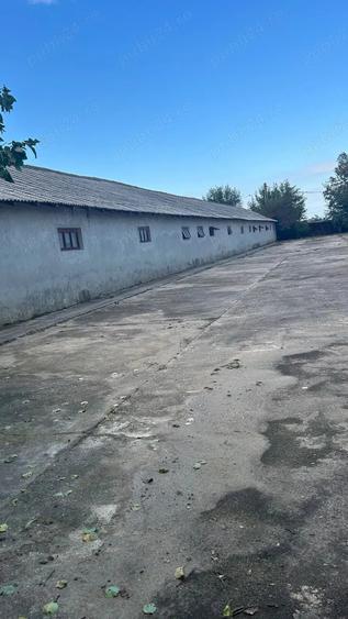 Teren de 5000 mp, în Central