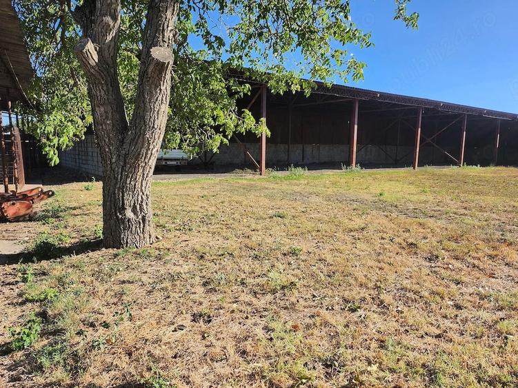 Spațiu comercial, de 6,620 mp, în Voiteg