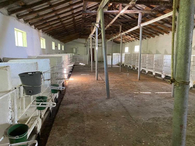 Teren de 15000 mp, în Central