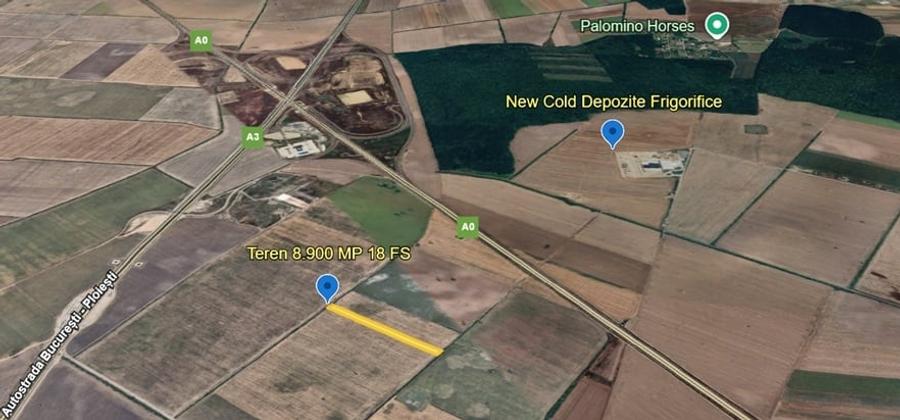 Teren agricol intravilan de 8900 mp, în Ștefăneștii de Jos