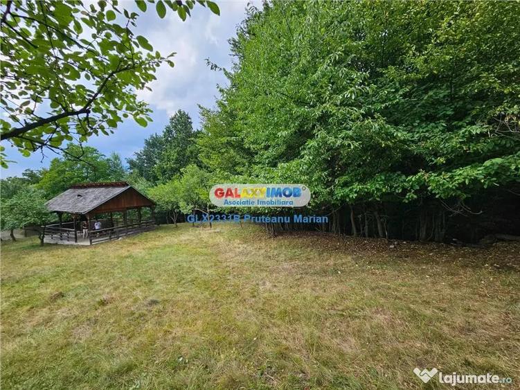 Teren de 2700 mp, în Curtea de Argeș