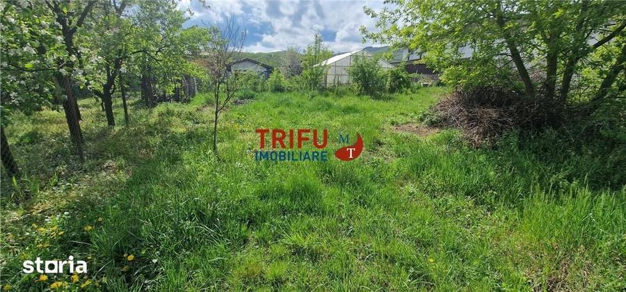 Teren de 958 mp, în Micești