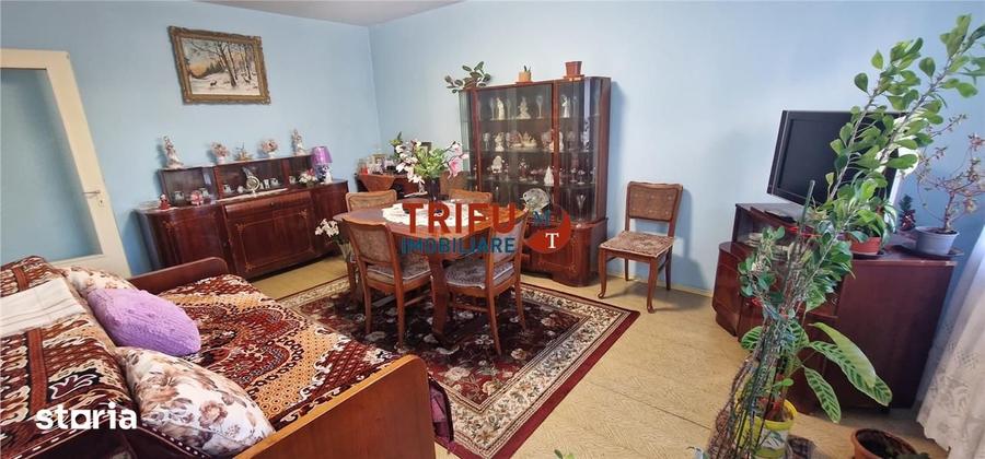 Apartament 2 camere decomandat de vanzare zona Cetate - 5