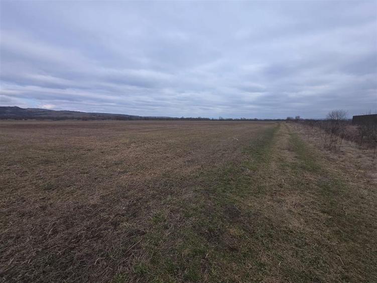 Teren Construcții intravilan de 20200 mp, în Exterior Est
