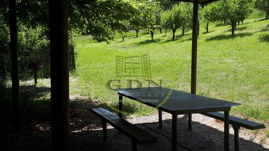 Teren agricol extravilan de 4288 mp, în Gușterița