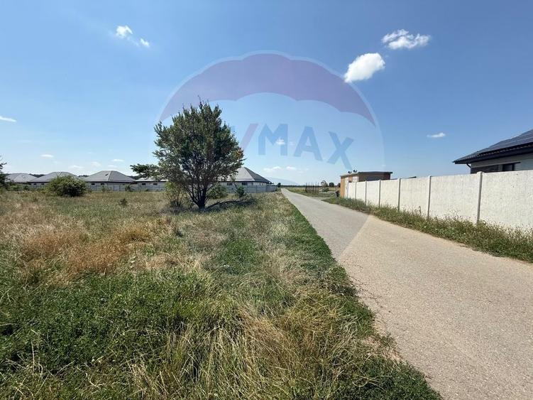 Teren Construcții intravilan de 5000 mp, în Tamași