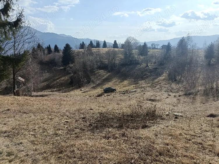Teren de 3200 mp, în Dâmbovicioara