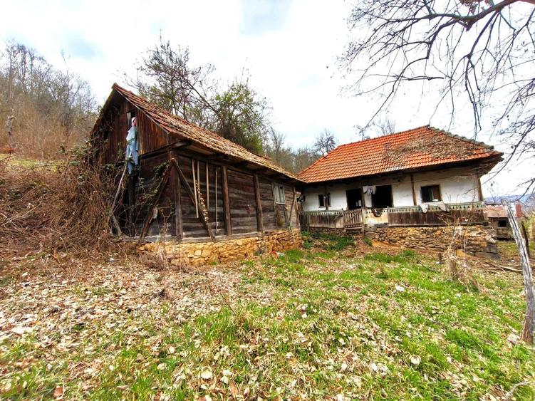 Casă cu 2 camere în Boiu