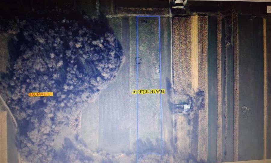 Teren intravilan de 14780 mp, în Grumăzești