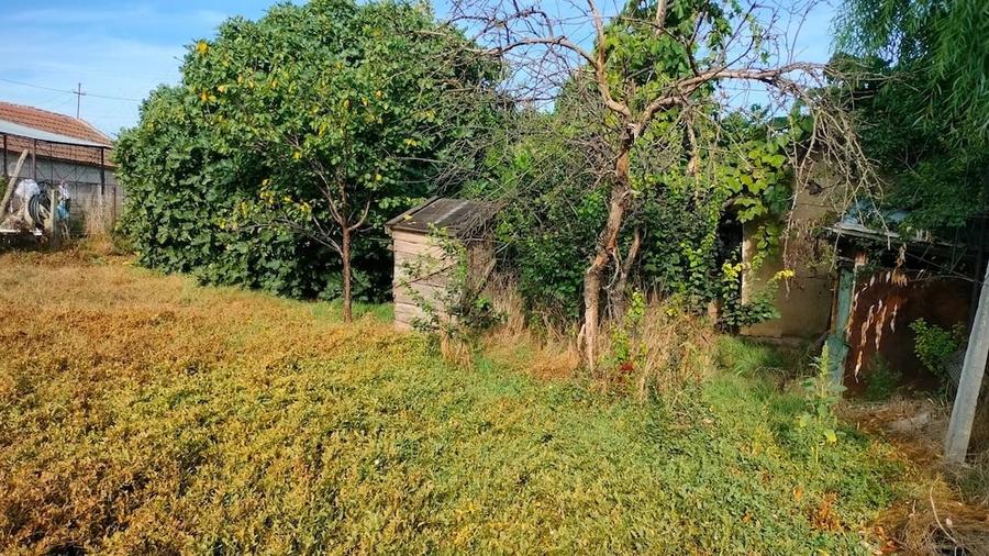 Casă cu Teren 1881 Mp în Padina