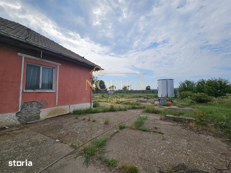 Teren de 10000 mp, în Ștefan cel Mare