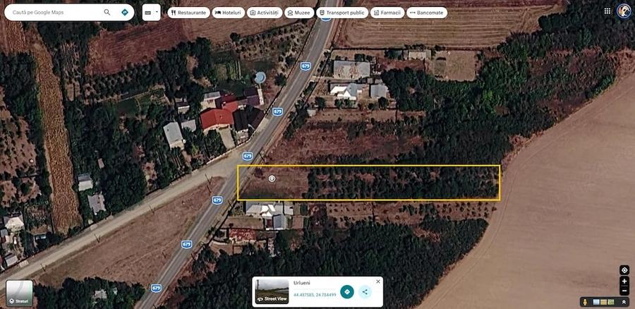 Teren 3.100 mp cu livada de pruni Barla, Arge? 10.900 - 2
