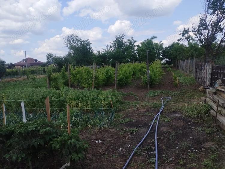 Casă cu 4 camere cu Teren 1600 Mp în Central