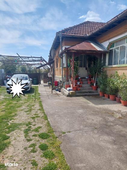 Casa 5 camere, 3500 mp teren - 4
