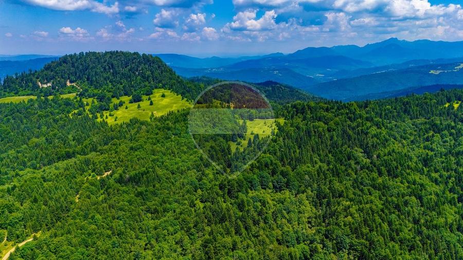 Teren agricol extravilan de 7000 mp, în Gârcini