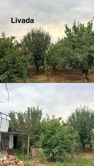 Casă cu 6 camere cu Teren 1031 Mp în Șoldanu