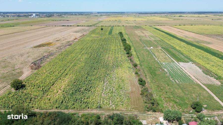 Teren intravilan in Darza (langa Buftea) deschidere 24m, pret negocia - 4