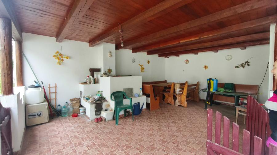 Casă cu 3 camere în Pianu