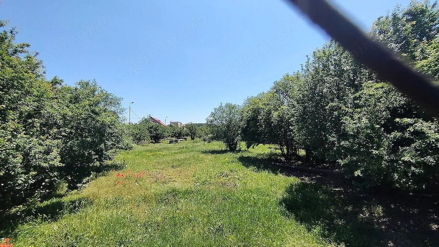 Teren de 6000 mp, în Central