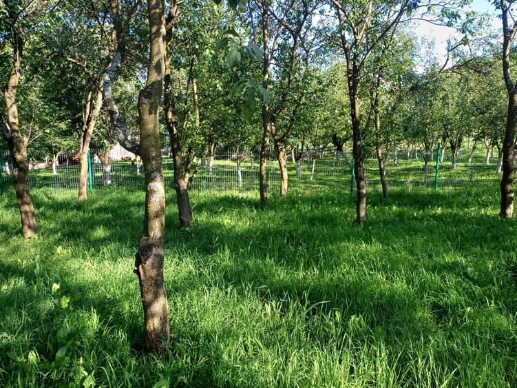 Casă individuală cu 3 camere cu Teren 1576 Mp în Vechea
