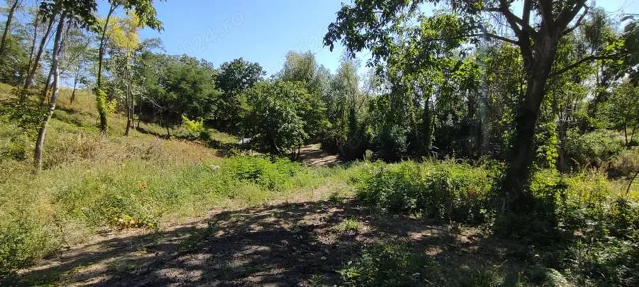 Teren de 4786 mp, în Jugureni