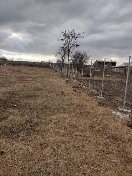 Teren de 1800 mp, în Unțeni